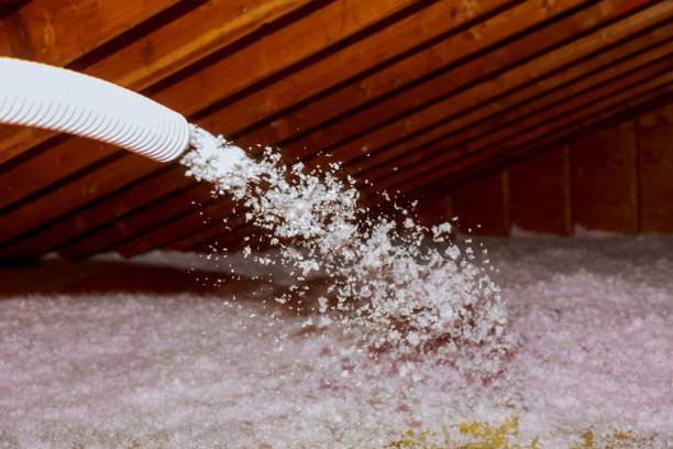 Best Insulation Contractors for Homes  in Thomas, OK