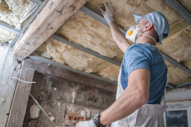 Insulation for New Construction in Thomas, OK