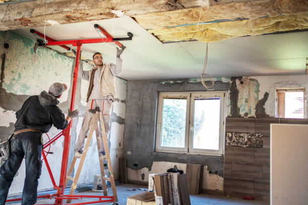 Best Professional Insulation Contractor  in Thomas, OK
